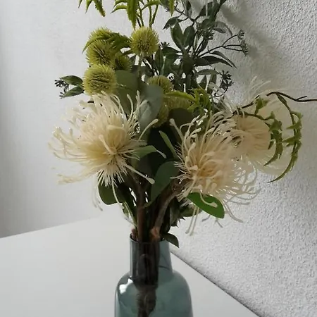 アパート Davant Mar - Con Terraza A Pie De Playa ロザス